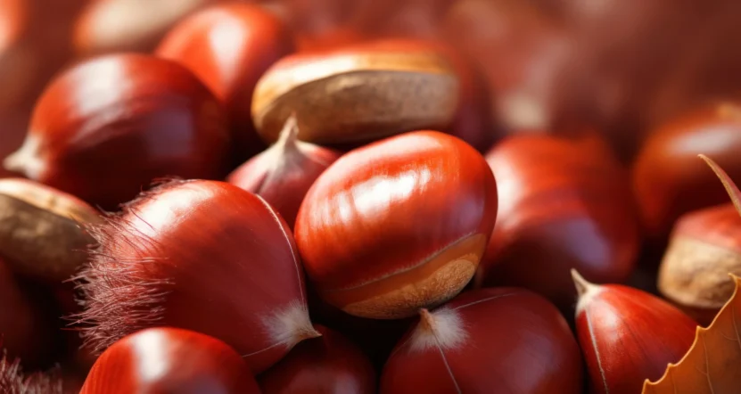 castagne