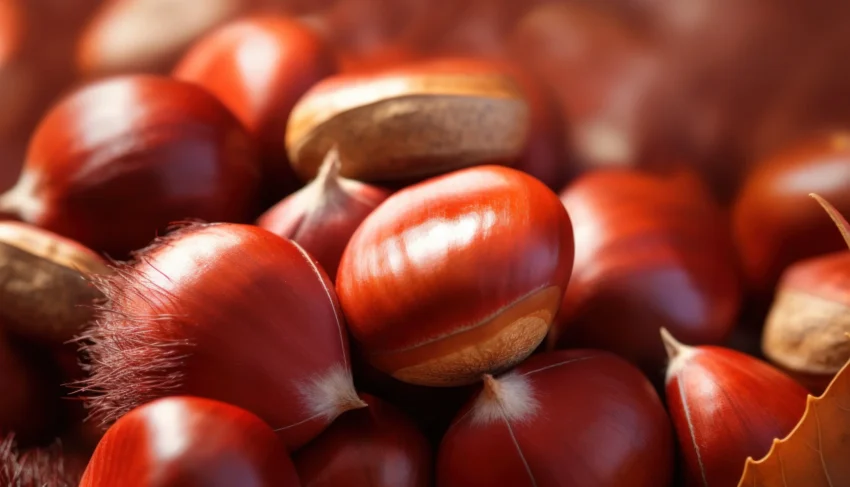 castagne